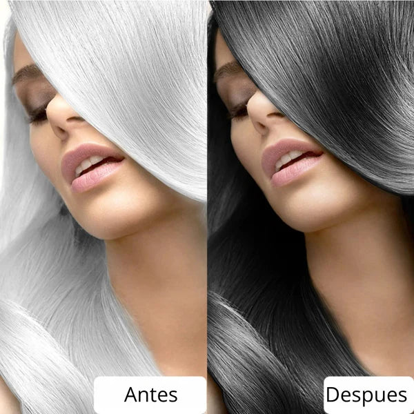 Shampoo Pinta canas Negro BLACK HAIR Caja /10 Sobres