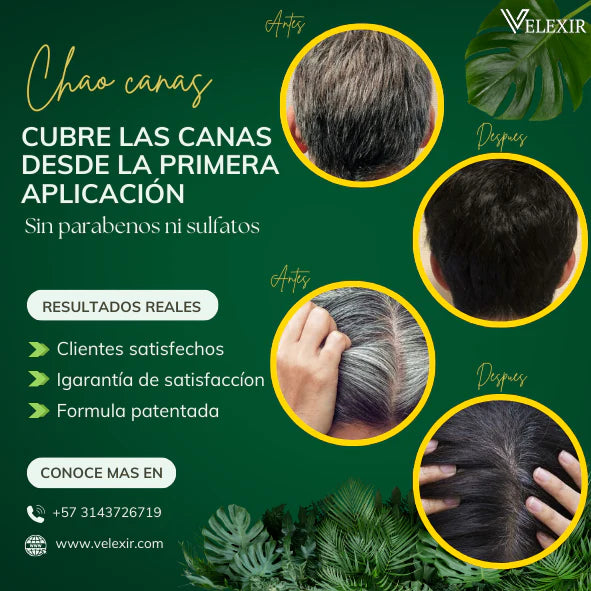 SHAMPOO CHAO CANAS + TRATAMIENTO +  OBSEQUIO