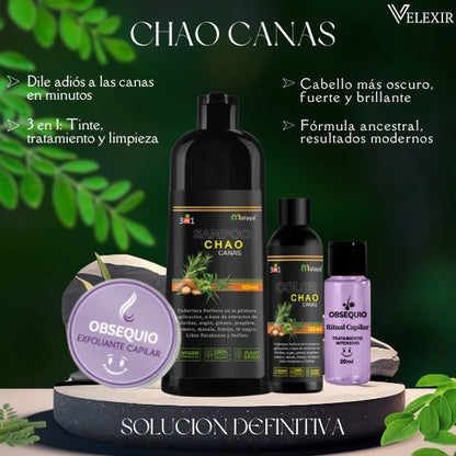 SHAMPOO CHAO CANAS + TRATAMIENTO +  OBSEQUIO