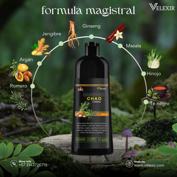SHAMPOO CHAO CANAS + TRATAMIENTO +  OBSEQUIO
