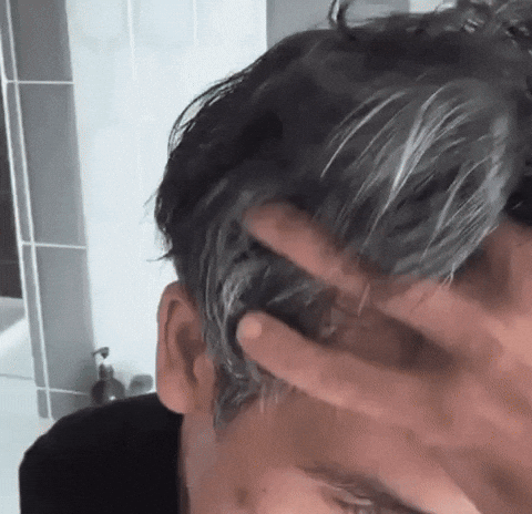 SHAMPOO CHAO CANAS + TRATAMIENTO +  OBSEQUIO