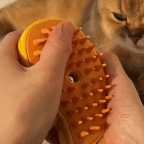 Cepillo de Vapor Para mascotas 3 en 1 ENVIO GRATIS!! – E-Shop Colombia